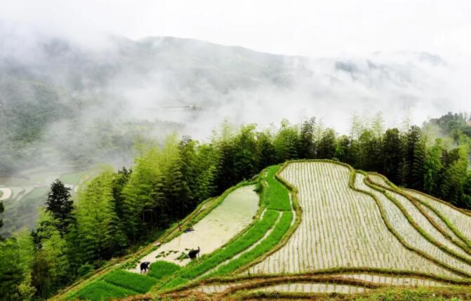 青岛网站建设公司今日芒种：愿你，所种皆有所得